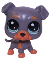 #4-153 Rottweiler